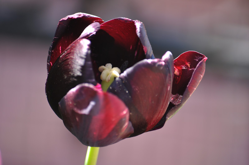 DSC_0808_.jpg