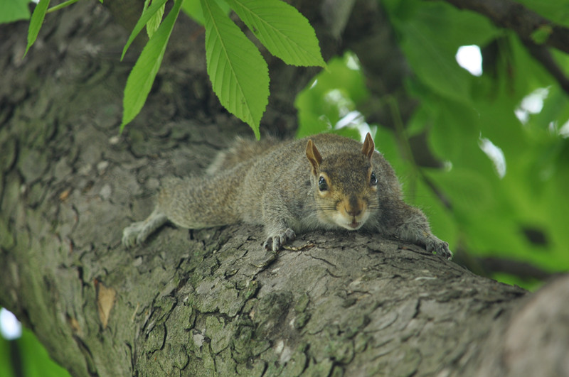 DSC_0866_.jpg