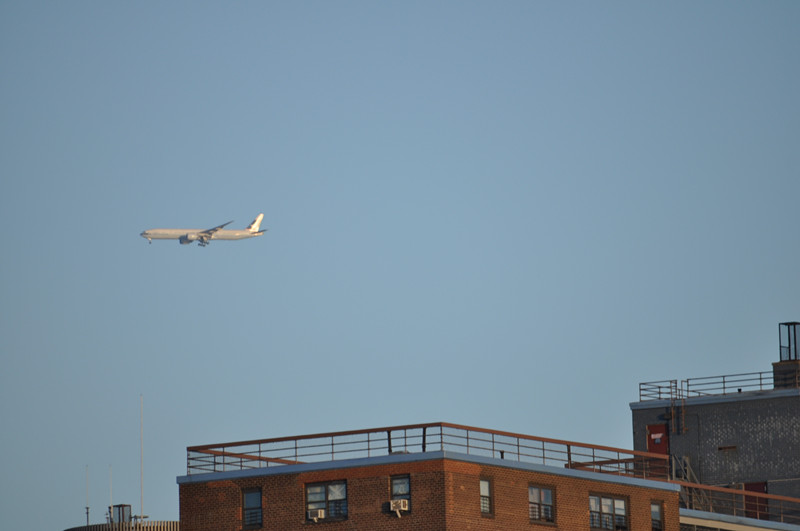 DSC_0631_.jpg