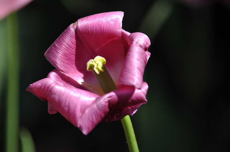 DSC_0809_.jpg