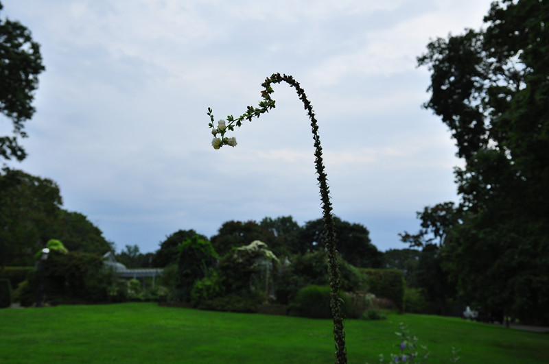 DSC_0921_.jpg