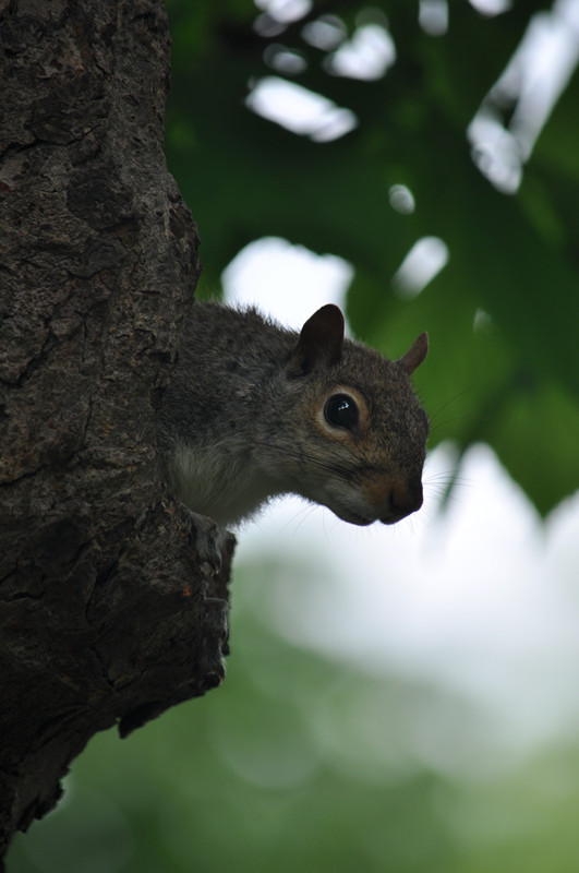 DSC_0865_.jpg