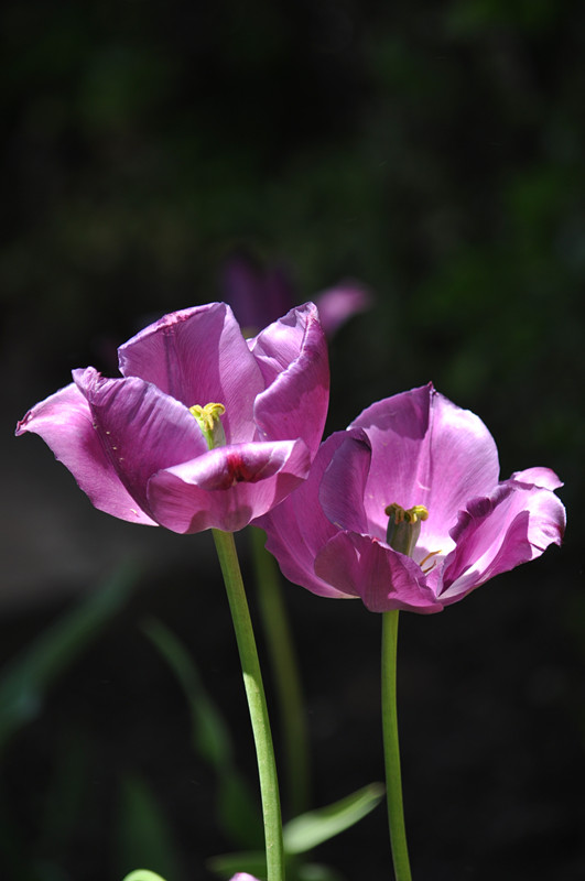 DSC_0797_.jpg
