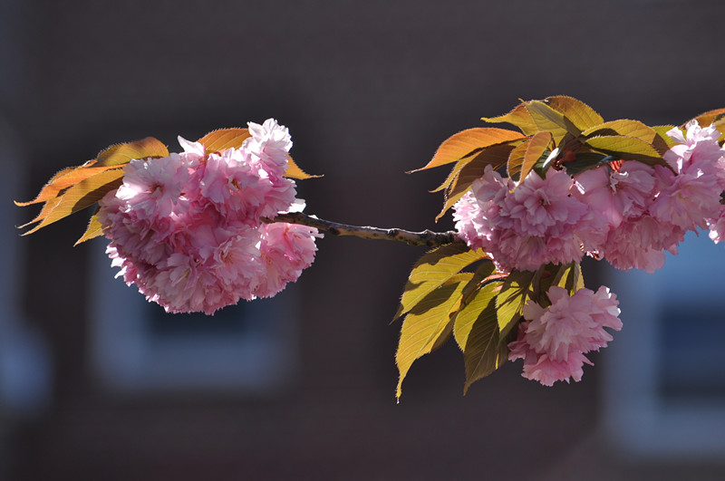 DSC_0654_.jpg