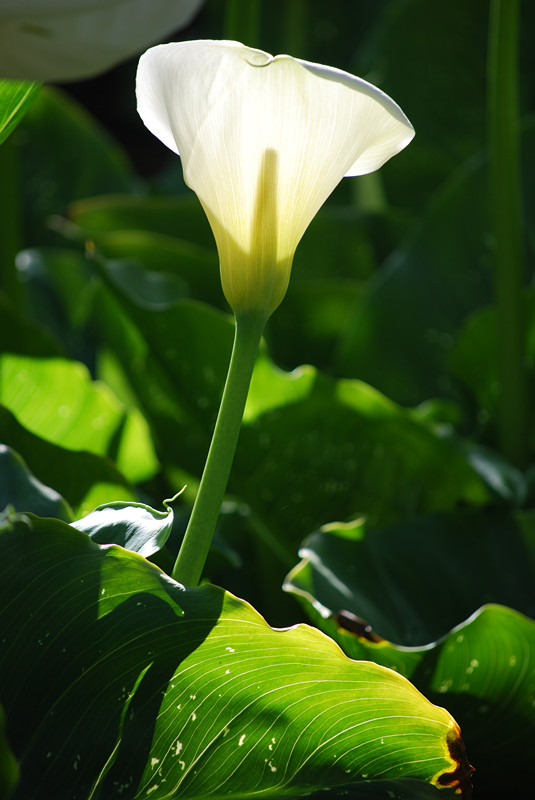 DSC_0413_����.jpg
