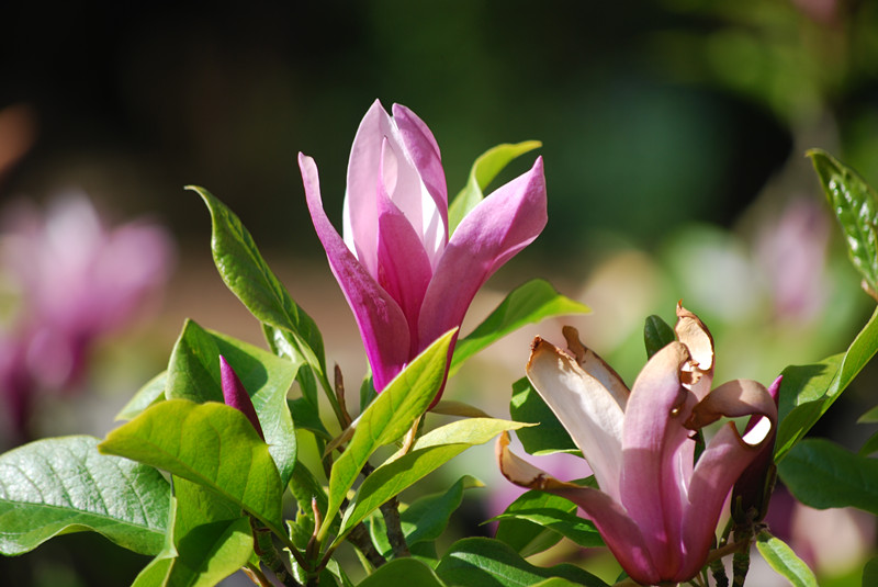 DSC_0320_����aaa.jpg