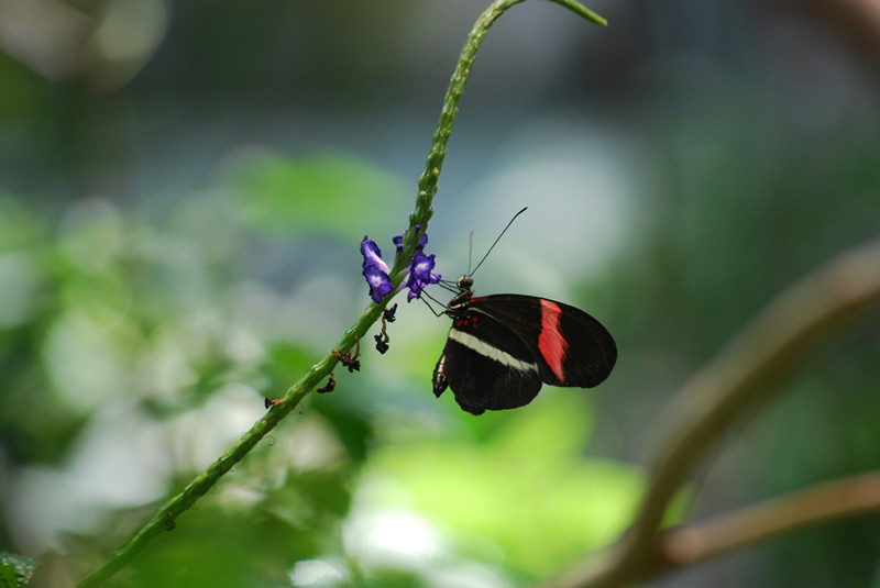 DSC_0930_����.jpg