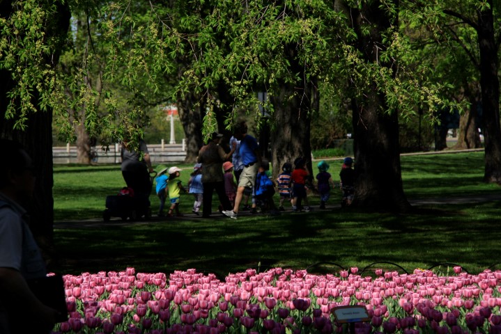 _MG_0234 (Small).JPG