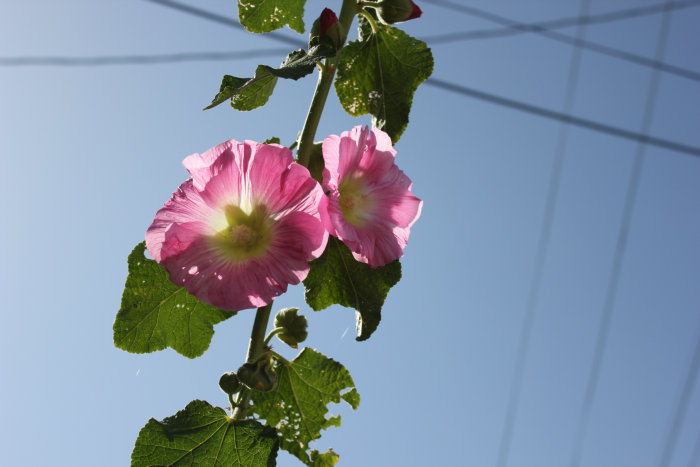 2012_07070058.JPG