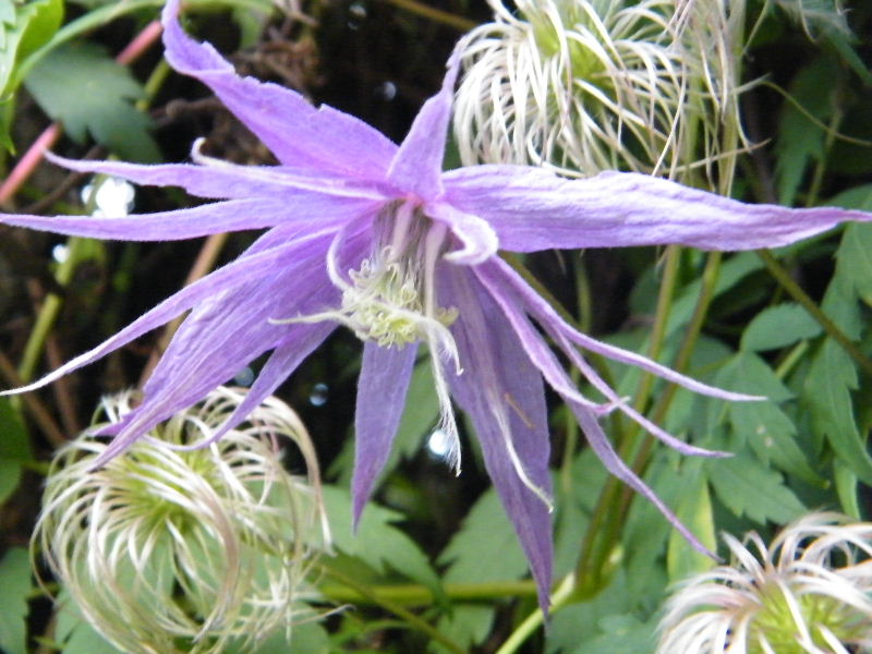 DSCF5881.JPG