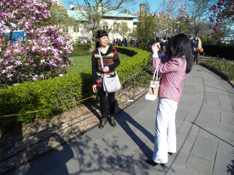SDC11599_800x600.jpg