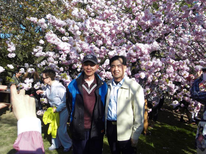 SDC11573_800x600.jpg