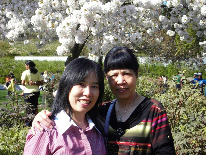 SDC11552_800x600.jpg