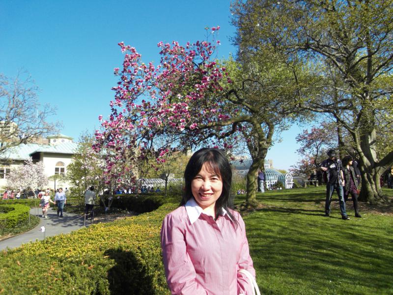 SDC11594_800x600.jpg