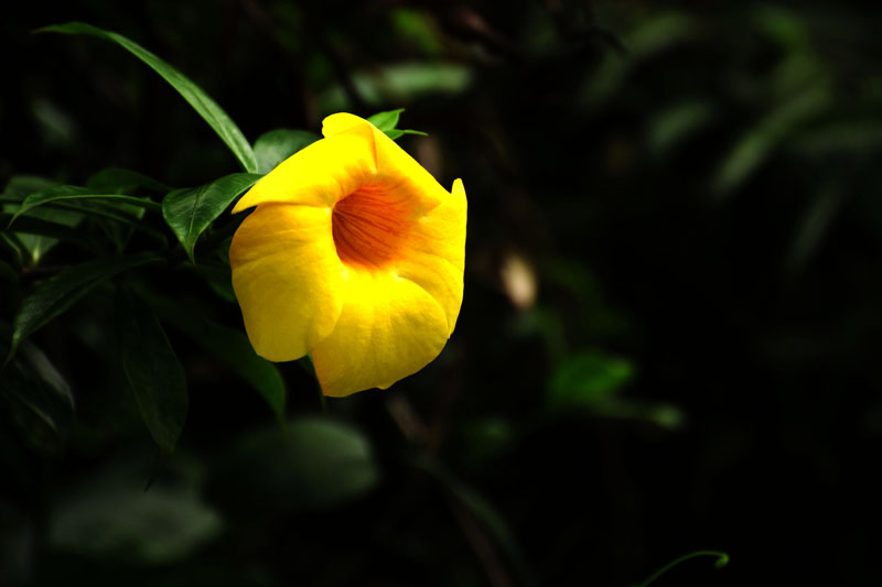 DSC_3813.jpg