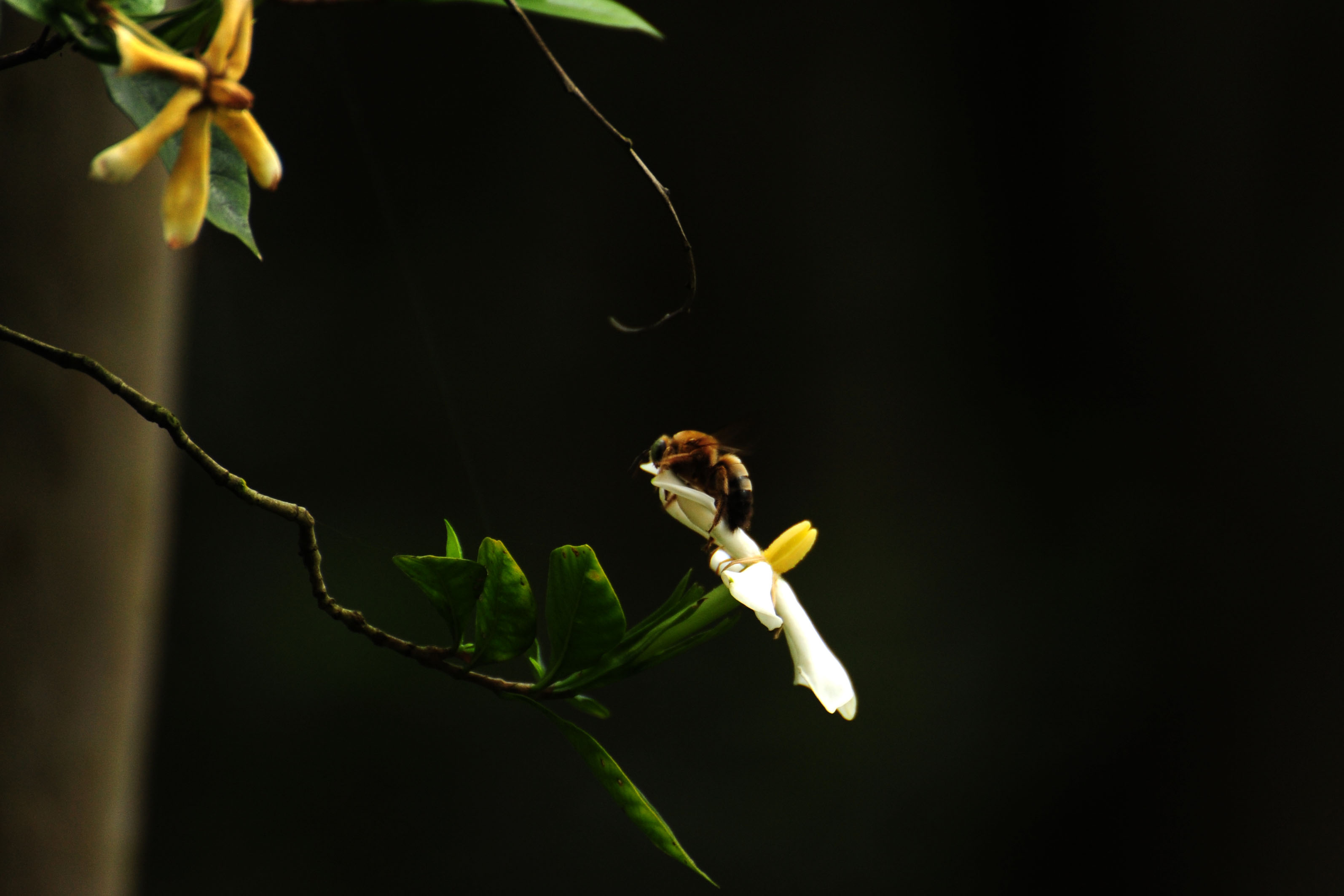 DSC_3825.jpg