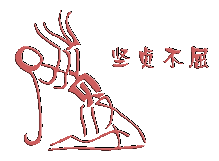 13.png