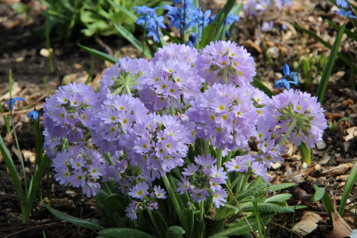 IMG_7917 (Small).JPG