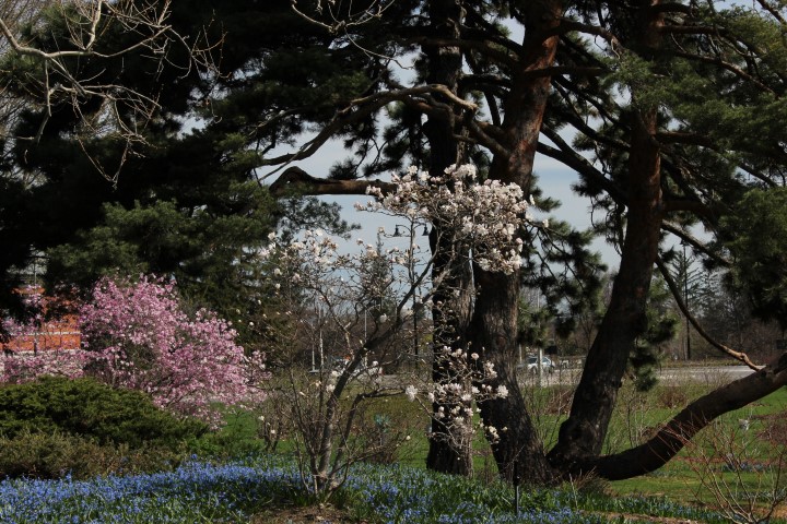 IMG_7942 (Small).JPG