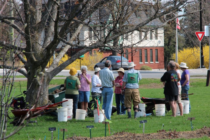 IMG_7940 (Small).JPG