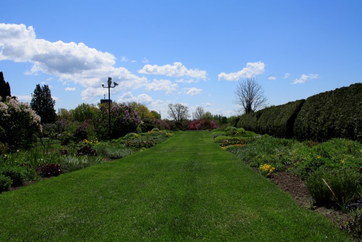 _MG_0156 (Small).JPG