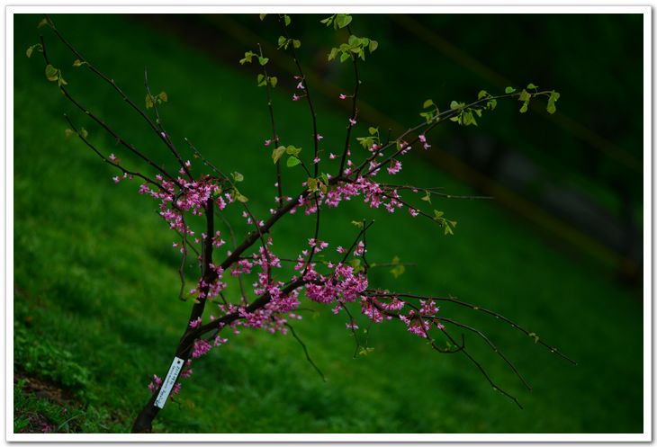nEO_IMG_DSC_3969.jpg