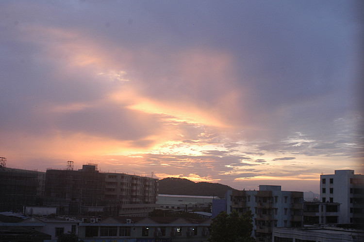DSC_0037_.jpg