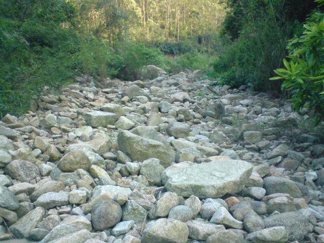 DSC00077.JPG