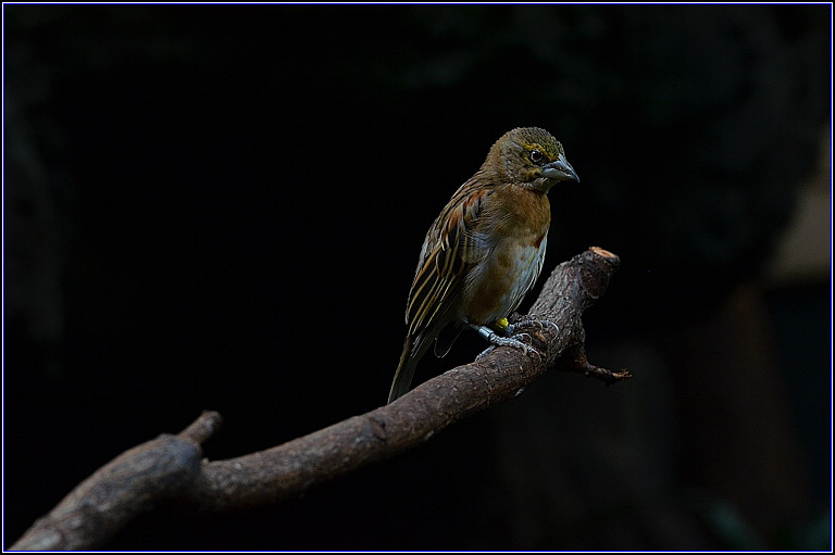 DSC_3191.jpg