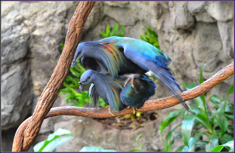 DSC_2829-2.jpg