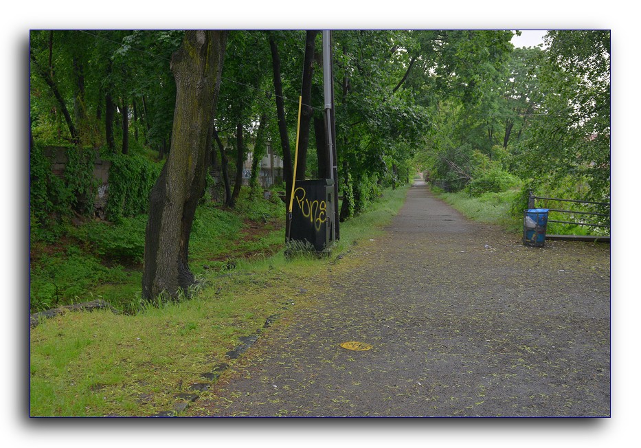 DSC_3827.jpg