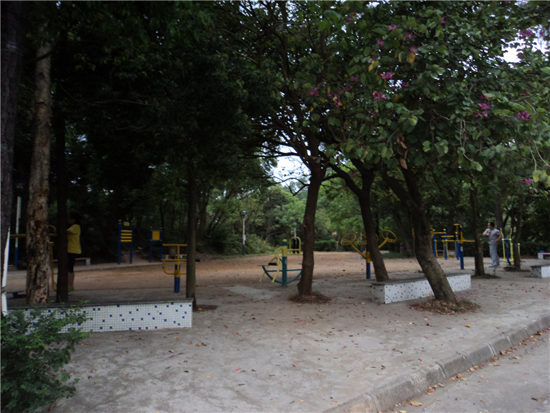 DSC08181.jpg