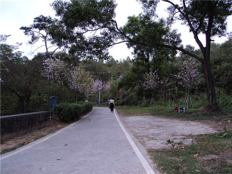 DSC08123.jpg