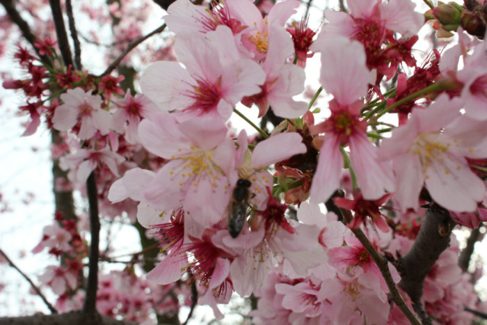 2012_02210250__.JPG