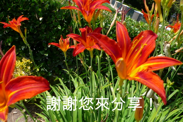 P1270674-002.JPG