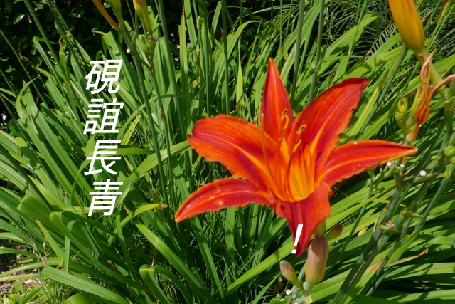 P1270667-001.JPG