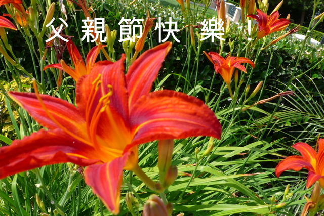 P1270669-002.JPG