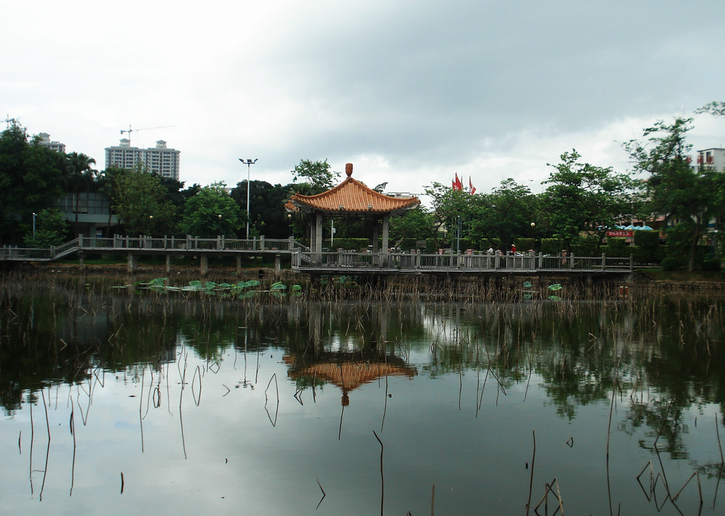DSC00362.jpg