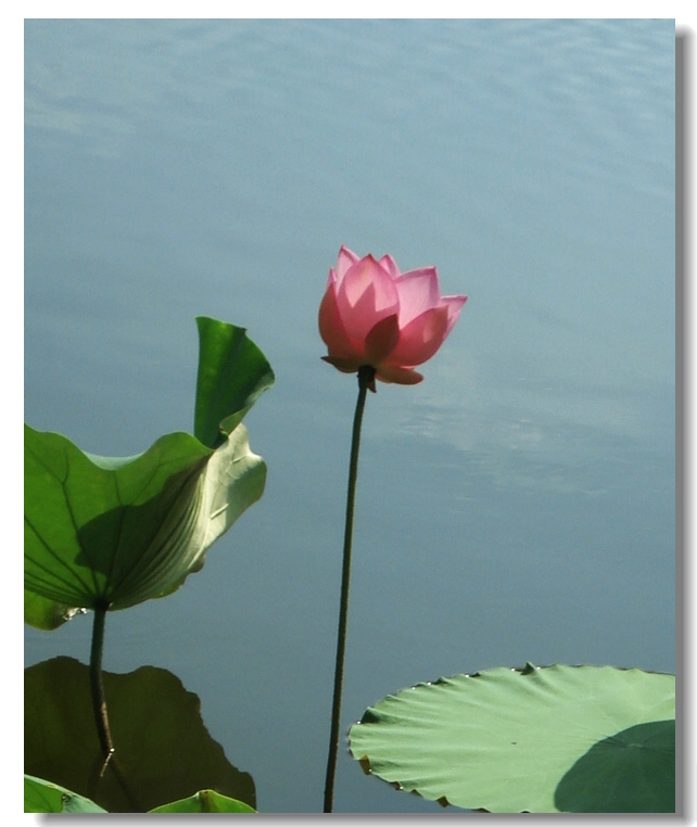 DSC00012.jpg