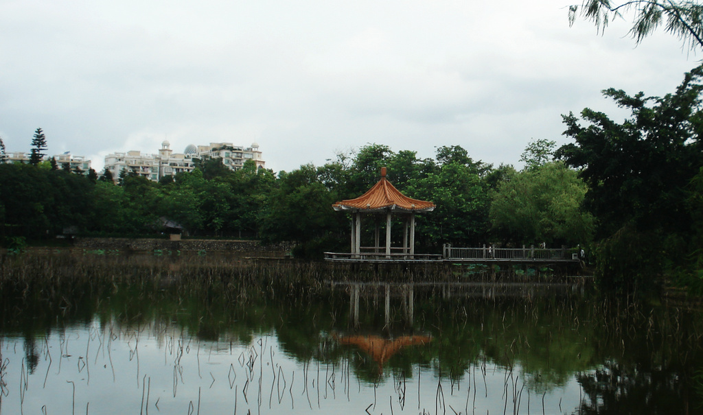 DSC00352.jpg