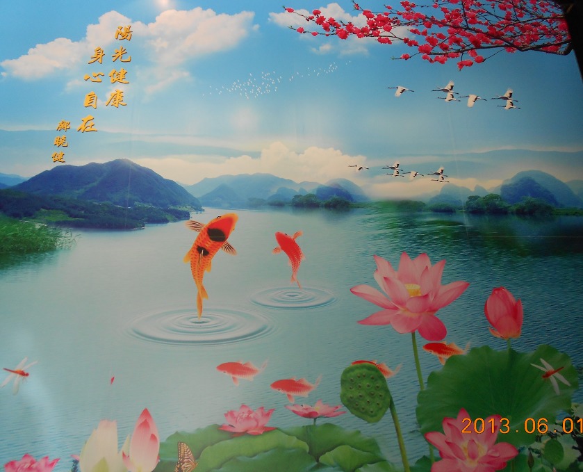 DSCN4590.JPG