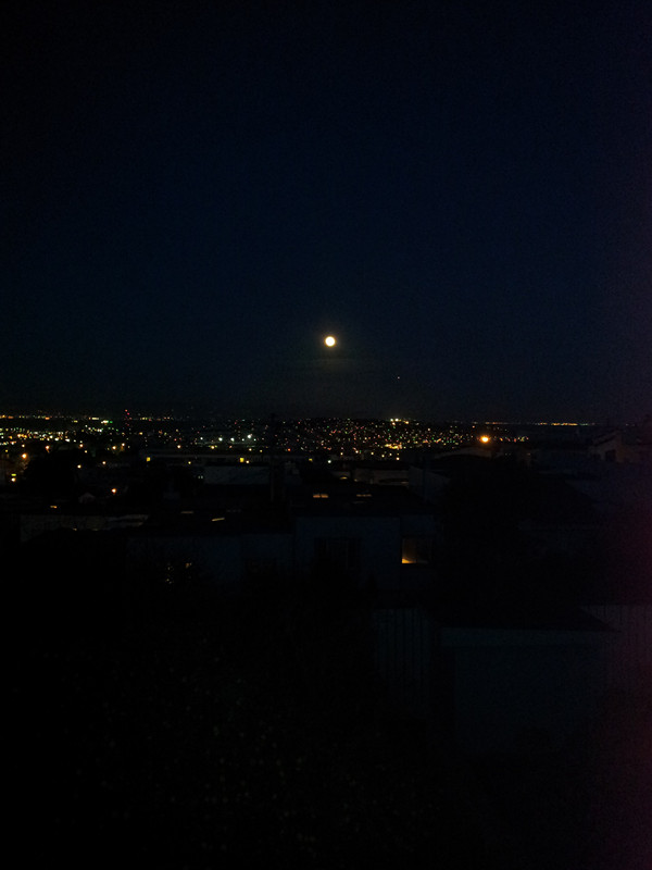 20130126_180044_.jpg
