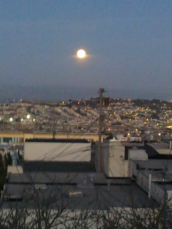 20130126_174644_.jpg
