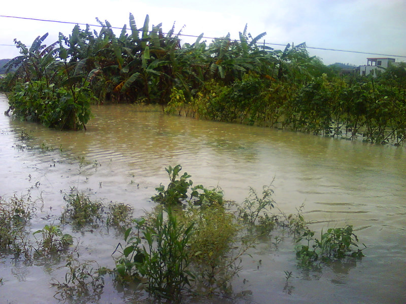 DSC00137_.jpg