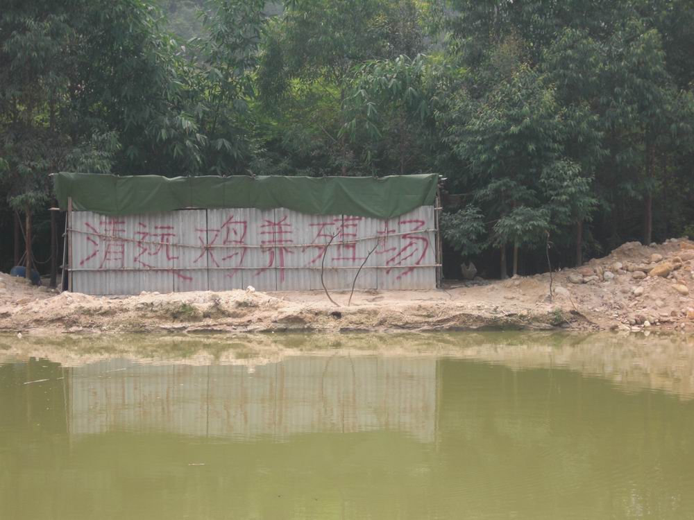 CIMG0211.JPG