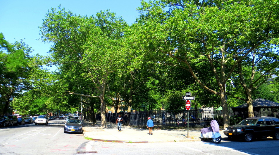 IMG_0001_3751.jpg