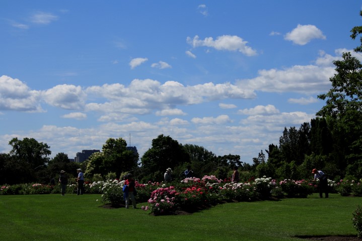 _MG_8078 (Small).JPG