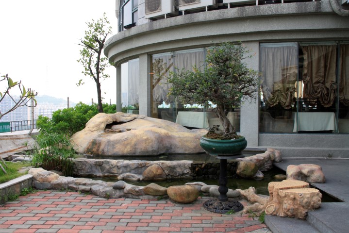 _MG_2486 (Small).JPG