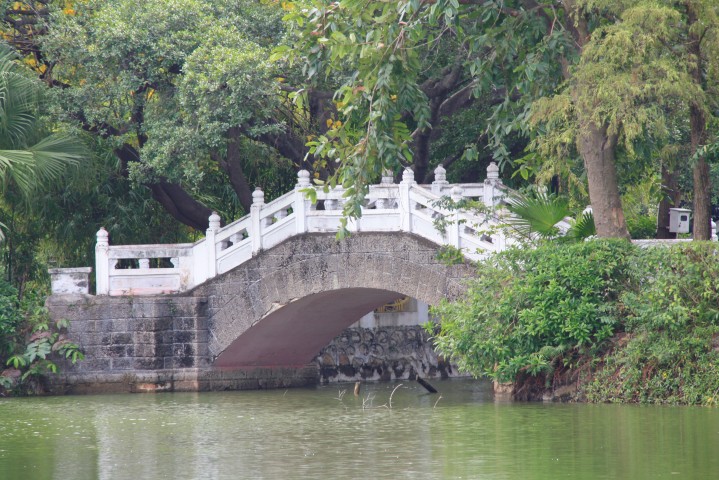 _MG_2187 (Small).JPG