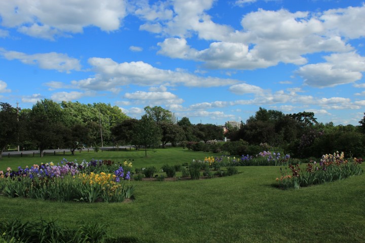 IMG_8508 (Small).JPG